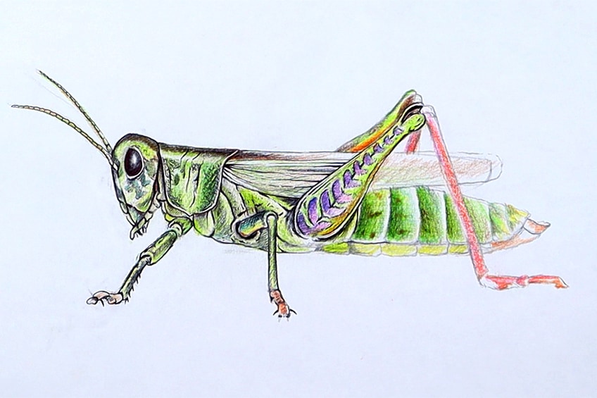 Make a Grasshopper Sketch 30