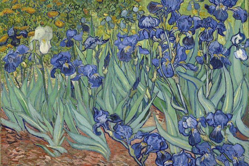 Most Expensive Van Gogh Painting