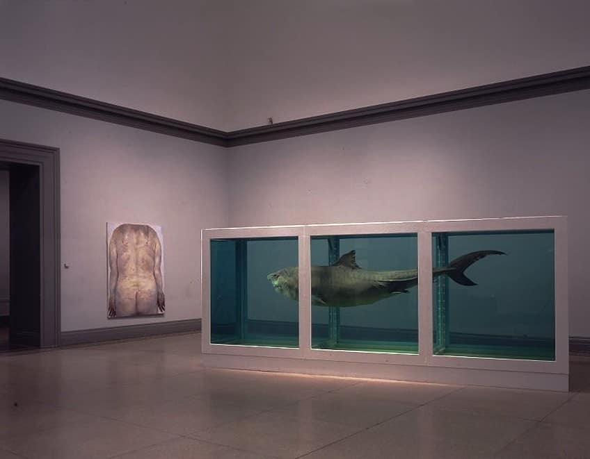 damien hirst shark decay