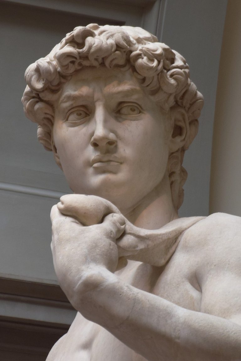 Statue of David by Michelangelo Study This Michelangelo Statue