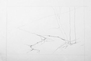 How to Draw a Forest - Step-by-Step Drawing Tutorial