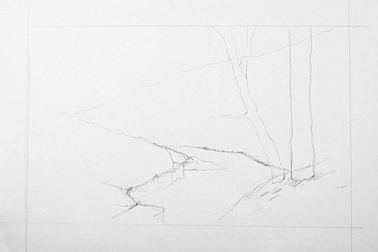 How to Draw a Forest - Step-by-Step Drawing Tutorial