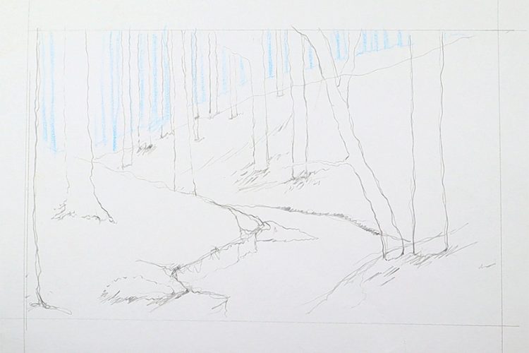 How to Draw a Forest StepbyStep Drawing Tutorial