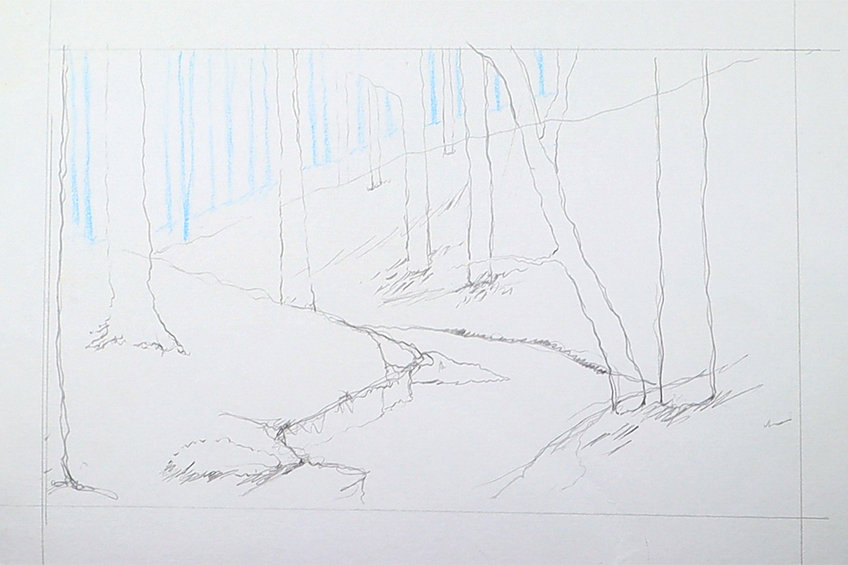 forest drawing 08