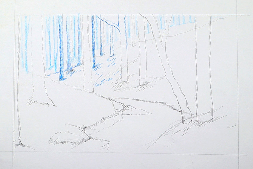 forest drawing 09