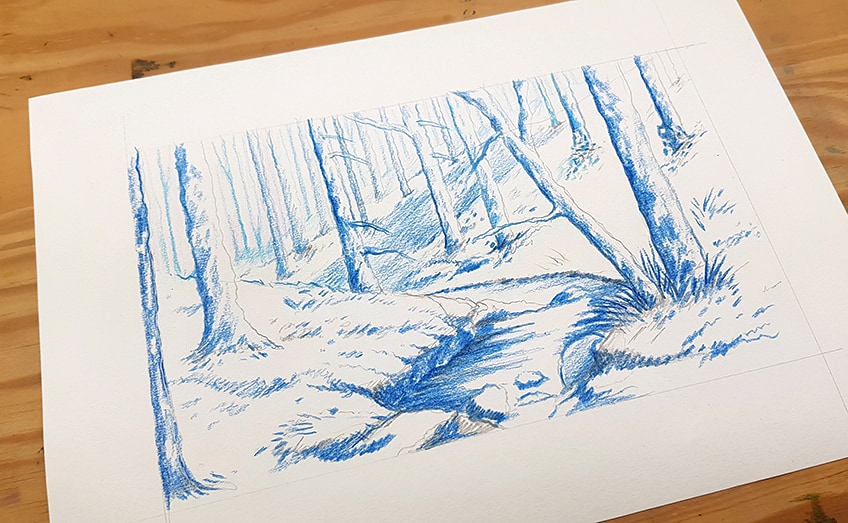 forest drawing 18