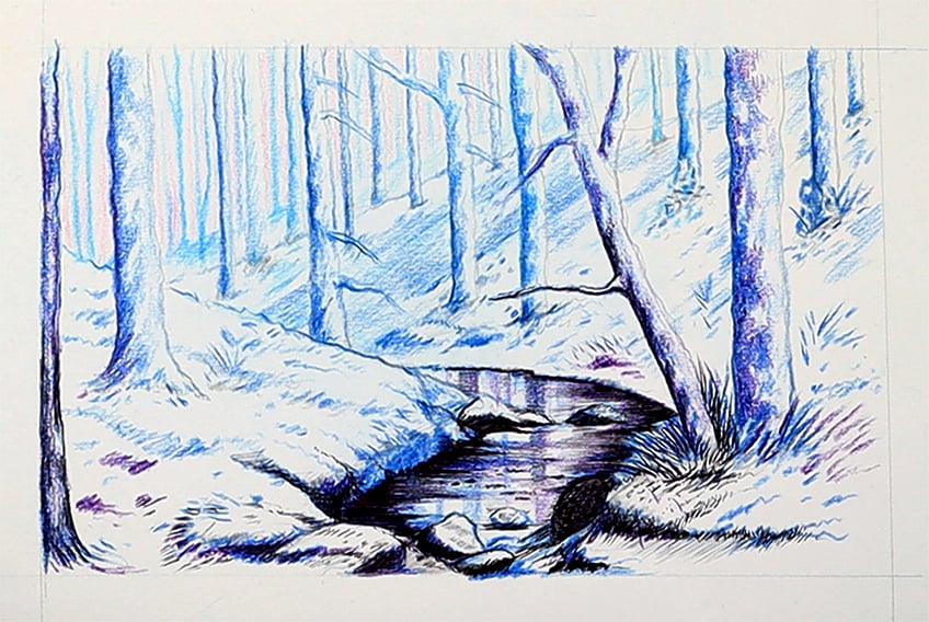 forest drawing 24