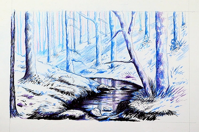 forest drawing 25
