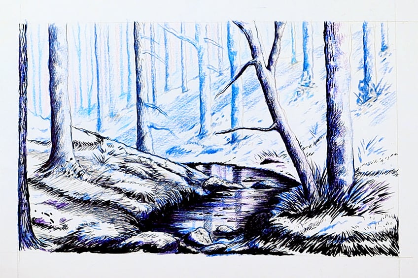 forest drawing 29
