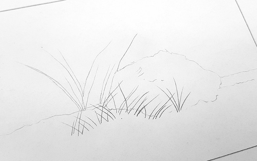 grass drawing 04