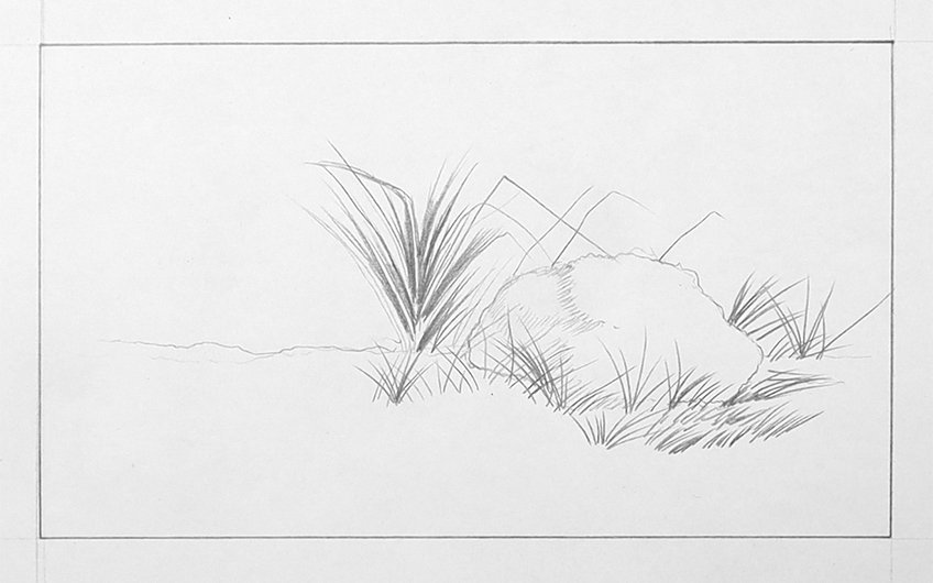 grass drawing 06