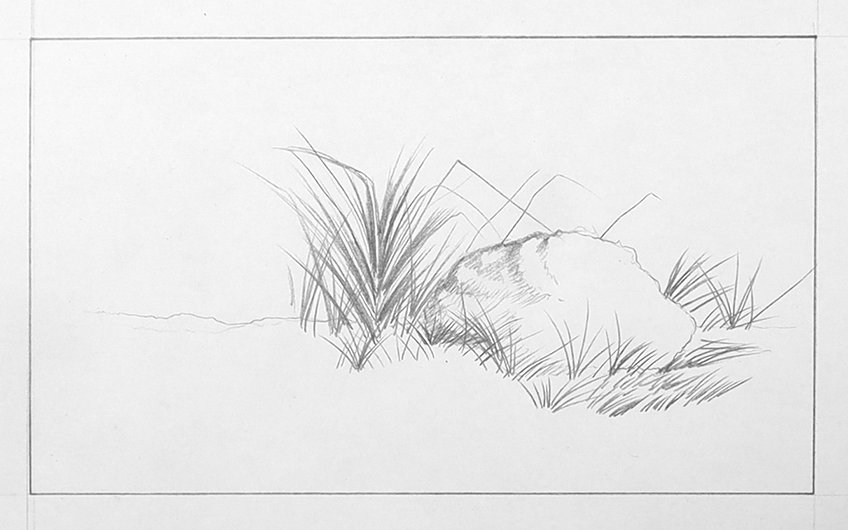 grass drawing 07