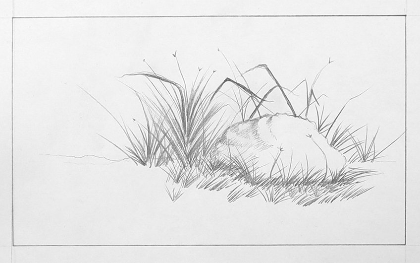 grass drawing 09
