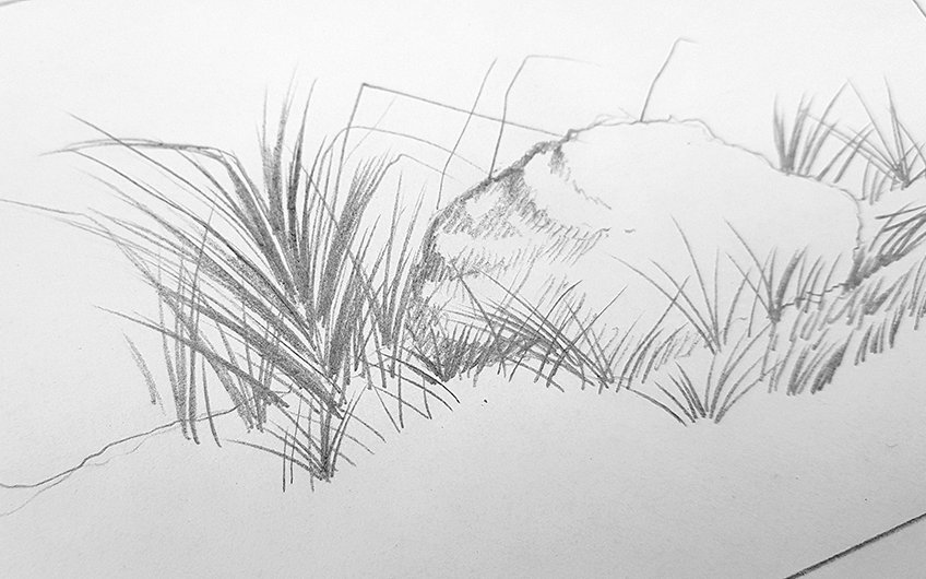 grass drawing 10