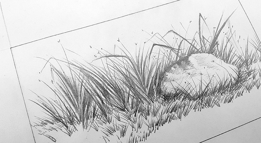 grass drawing 14