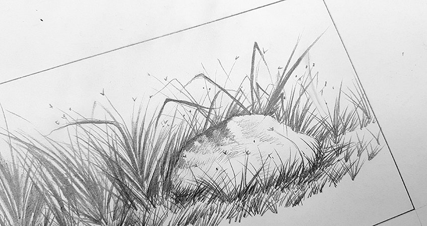 grass drawing 15