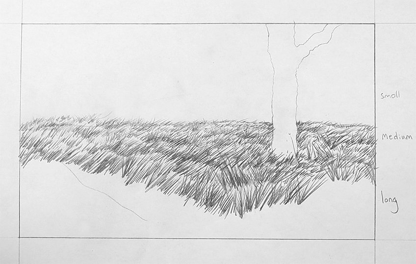 grass drawing 29