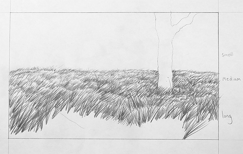 grass drawing 31