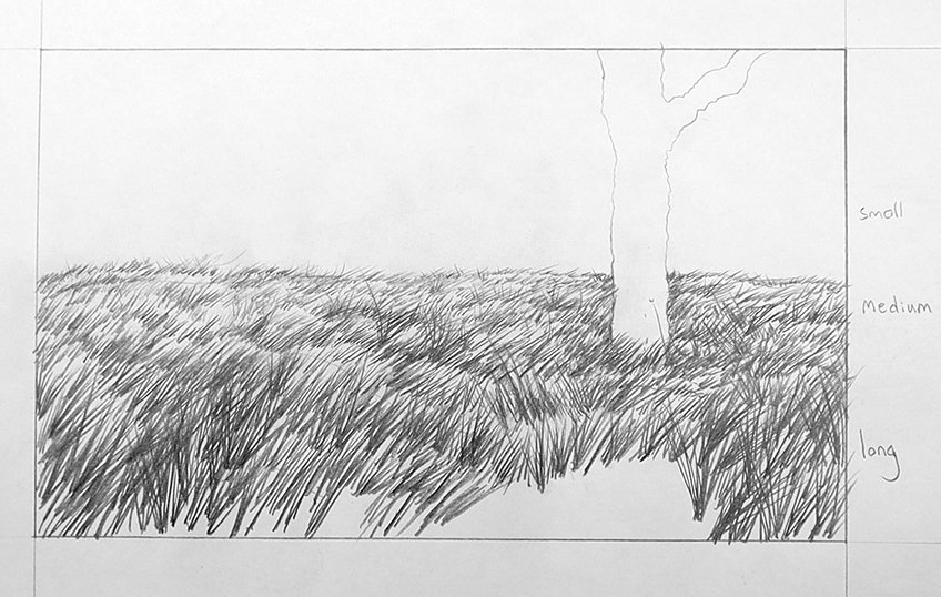 grass drawing 32