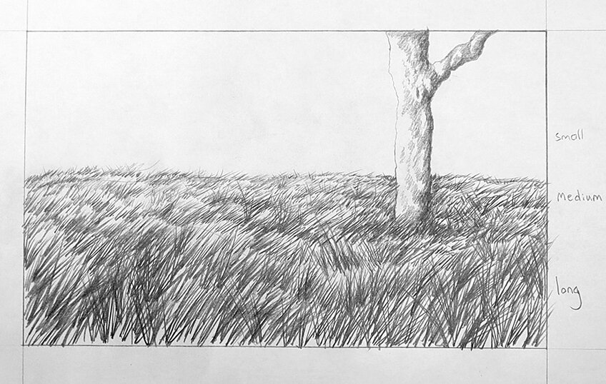 grass sketch