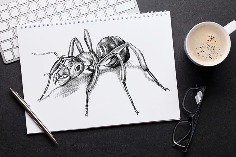 How to Draw an Ant – Ant Drawing Step-by-Step Tutorial