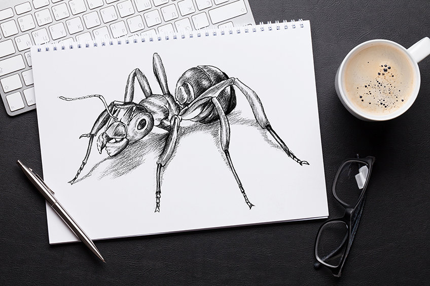how to draw an ant