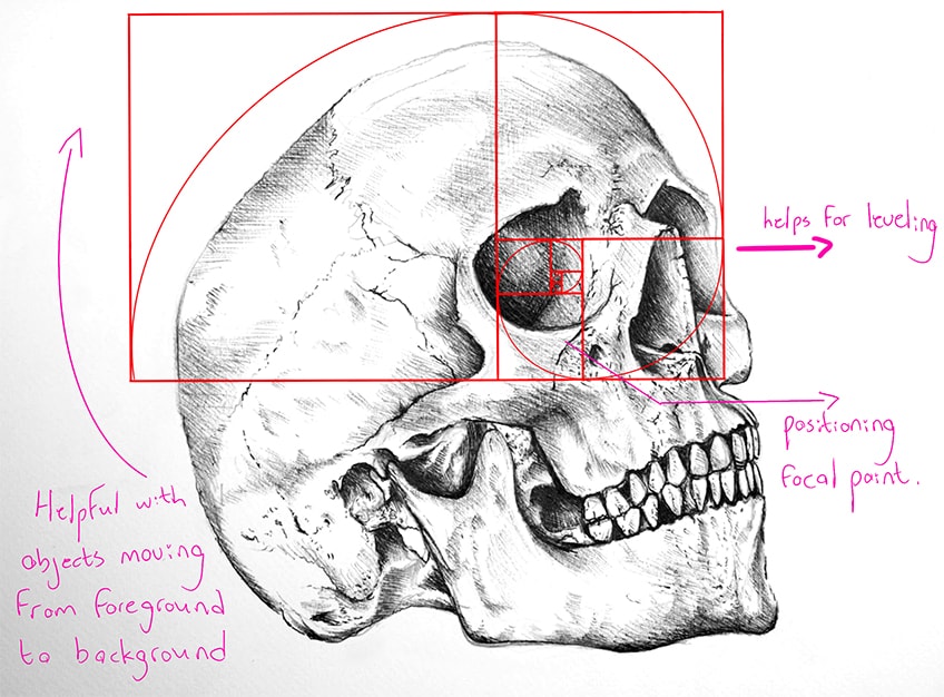 Golden Ratio in Art - Learn How to Use the Golden Ratio in Art