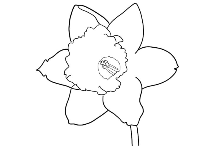 Flower Coloring Pages - 15 Free Flower Pictures to Print and Color