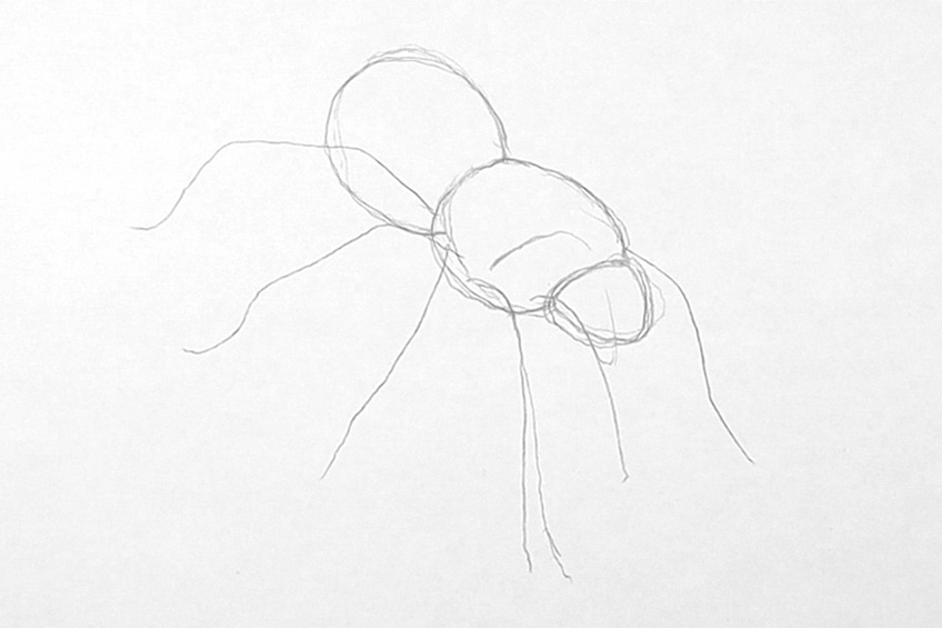 Easy Spider Drawing 4