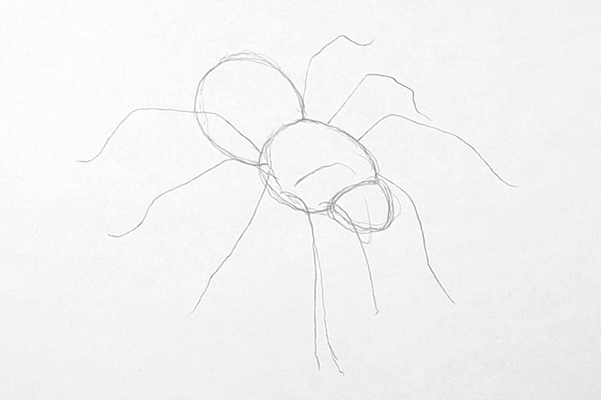 Easy Spider Drawing 5