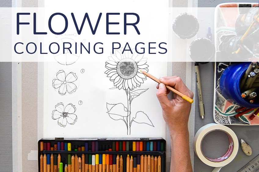 flower drawing color animation 22507202 PNG