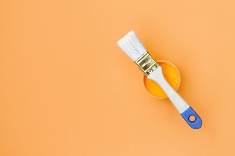 Peach Color Exploring Different Shades of Light Peach Color