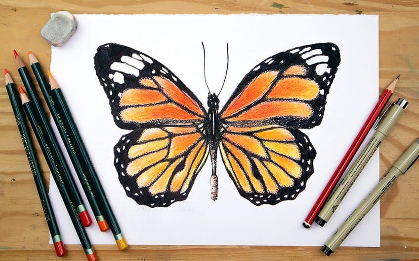 how to draw a monarch butterfly