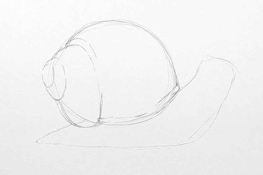 snail drawing 04