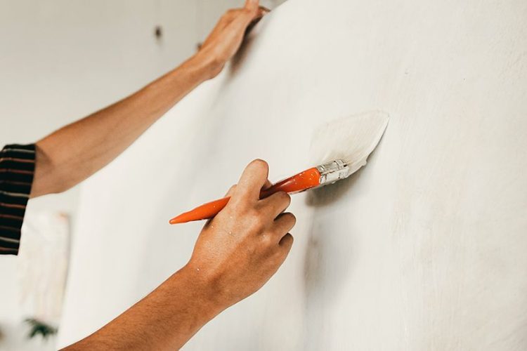 What Is Gesso? All You Need to Know About Gesso Primer