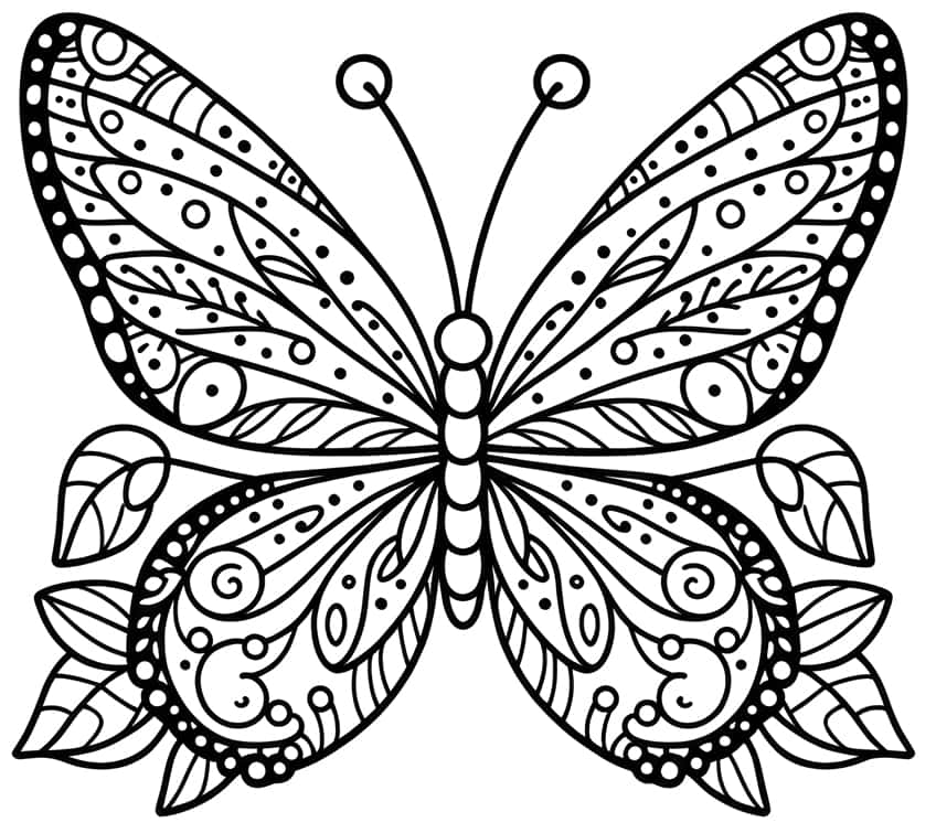 butterfly coloring sheet 02