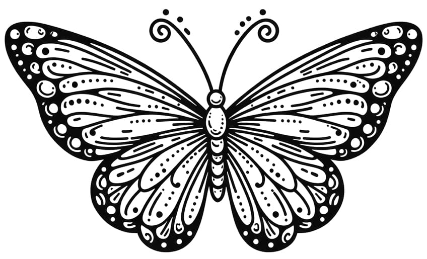 butterfly coloring sheet 13