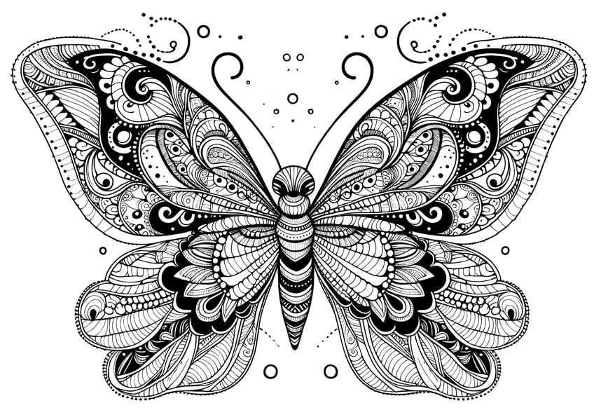 butterfly coloring sheet 45
