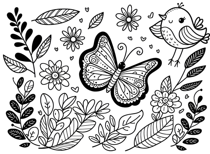 butterfly coloring sheet 51