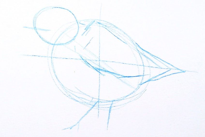 drawing birds 07