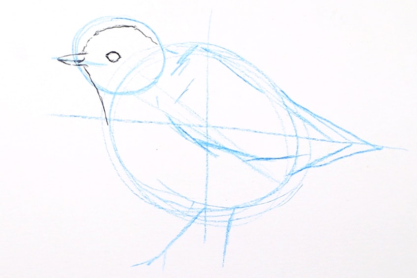 How to Draw Birds: A Step-by-Step Guide for Realistic Drawing Projects by  Martha Blonde | Goodreads