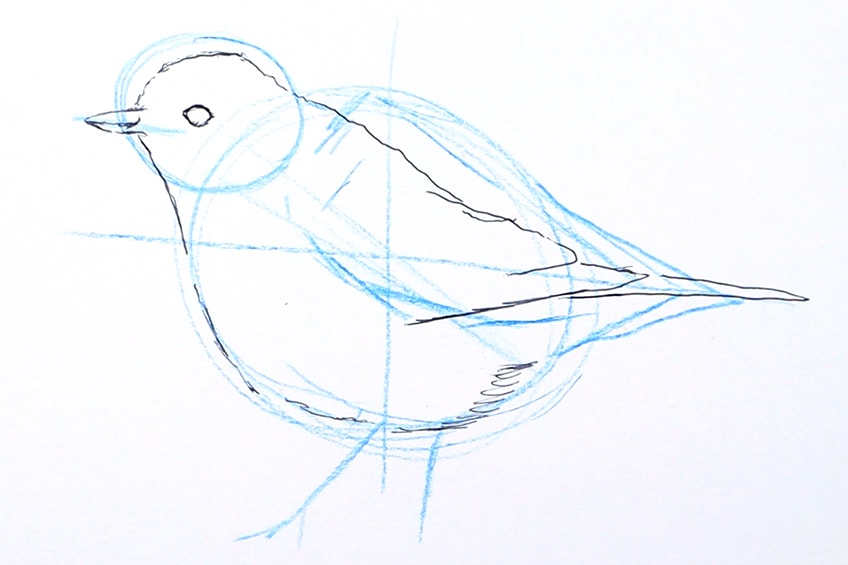 drawing birds 09