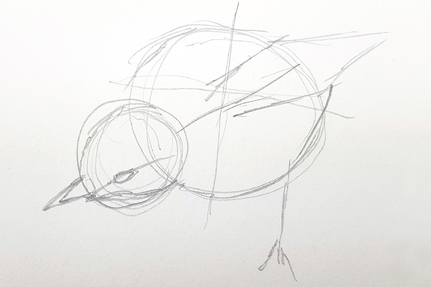 drawing birds 17