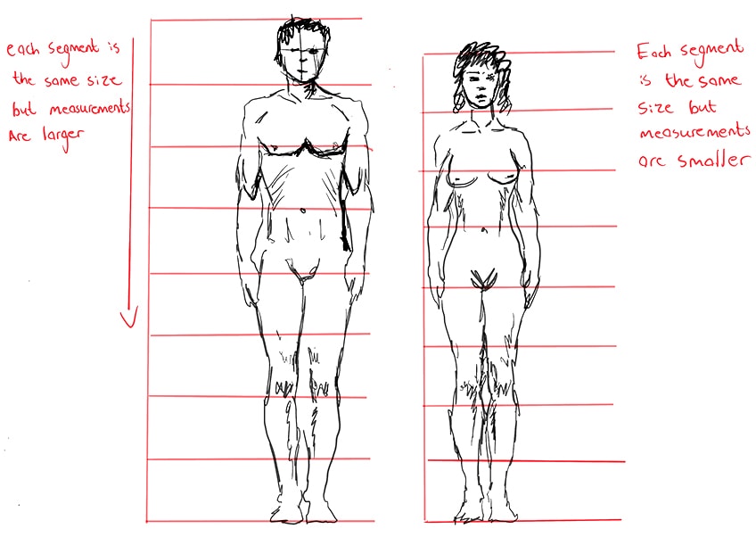 Drawing the Human Body & People in its Correct Ratios and