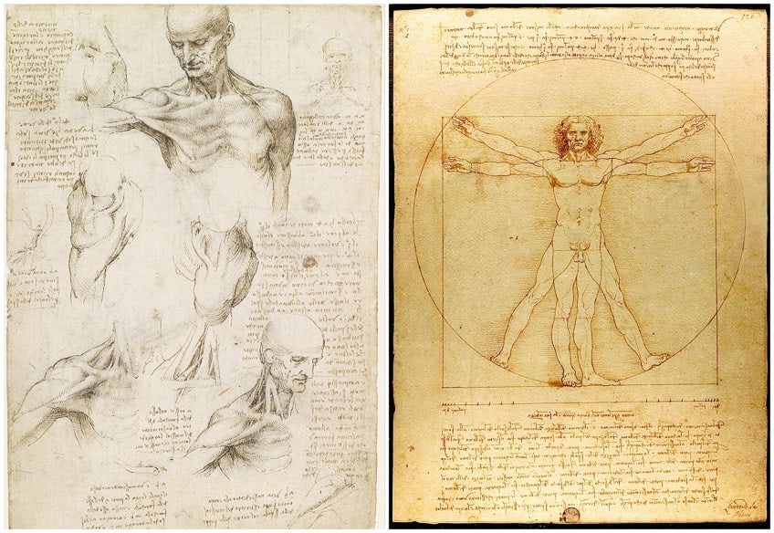 Leonardo da Vinci Drawings