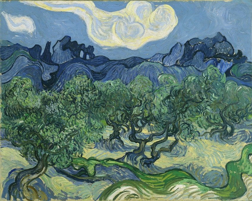 Olive Trees Painting