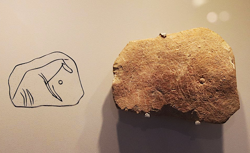 Prehistoric Stone Artifact