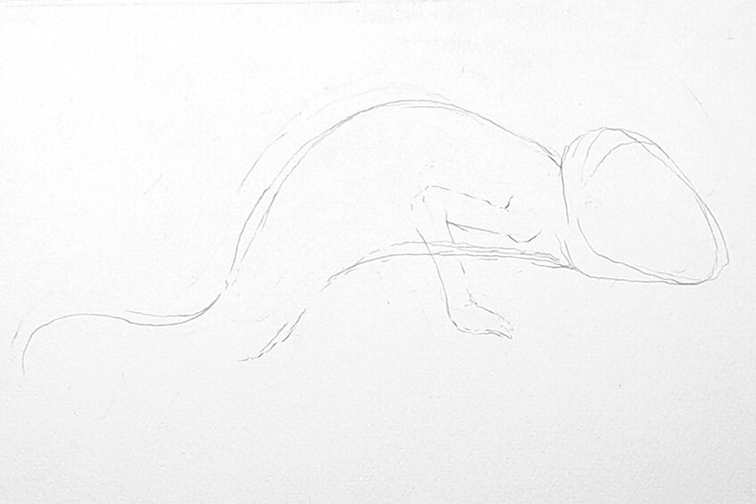 chameleon drawing 01