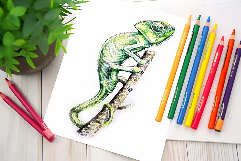 how to draw a chameleon