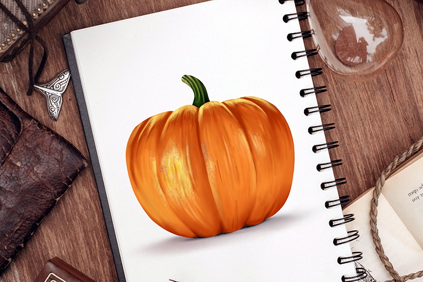 Pumpkin drawing Vegetable drawing Fall drawings